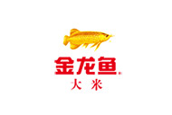 金龙鱼