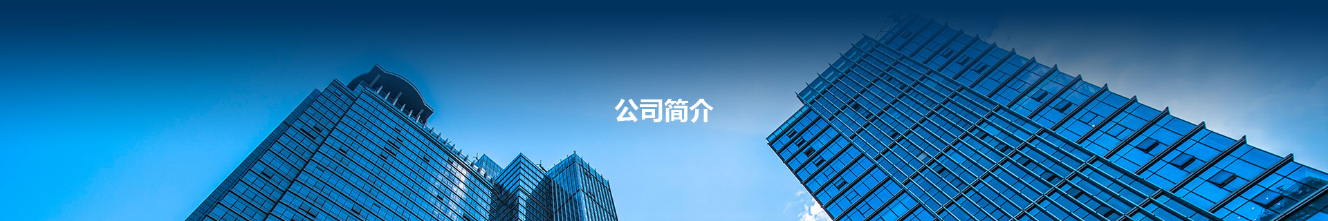 公司简介